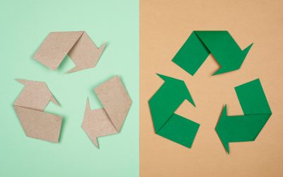 Logística Reversa: Como Transformar Devoluções em Oportunidades para Sua Empresa